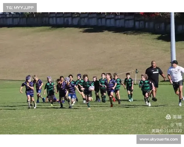 新西兰什么体育项目厉害