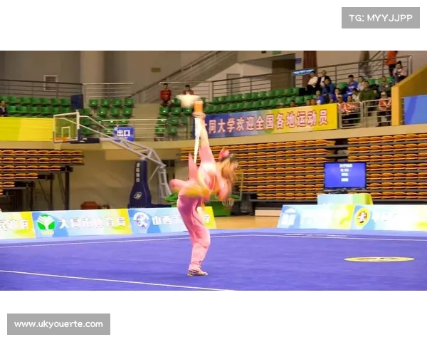 河北省武术套路比赛