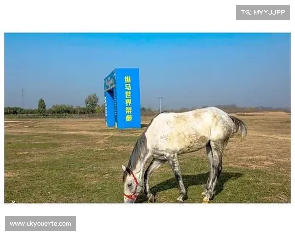 砀山国际赛马场 概况